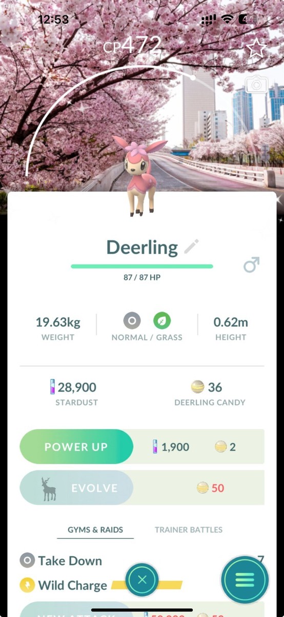 Pokemon Deerling Primavera