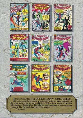 MARVEL MASTERWORKS Vol. 1 1987 1st Ed AMAZING SPIDER-MAN #1-10 S. Lee & S. Ditko - Picture 2 of 3