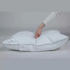 White Goose Down Feather Pillow Standard Goose Feather Down Pillow (20X26IN)