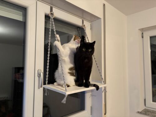 Fensterplatz für Katzen Ohne Bohren Liege Hängematte Fenster Liegeplatz Bett - Bild 4 von 4