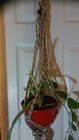 Bild 2 von 9