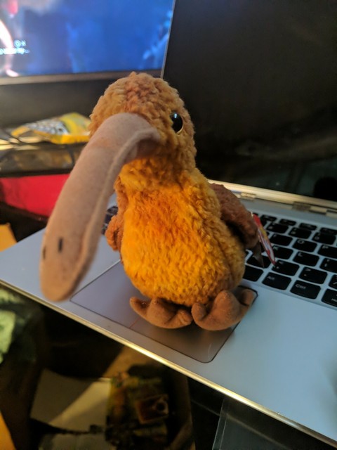 beanie baby beak 1998