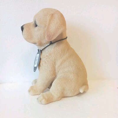 Cartoon Chocolade Labrador Puppy Die Naar Je Toe Loopt Stock