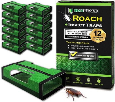 MaxGuard Roach + Spider Traps (12 Per Box) Non-Toxic Extra Sticky Box Green 
