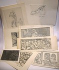 Foto 2 di 11