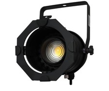 Black Aluminum Par 30 Light Fixture with Adjustable LED Bulb