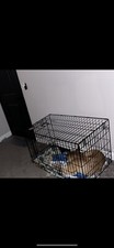 Top Paw Double Door 36 Folding Delux Metal Dog Crate