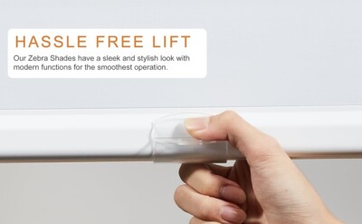 Cordless Zebra Roller Blinds Dual Layer Free-Stop Window Shades Custom White