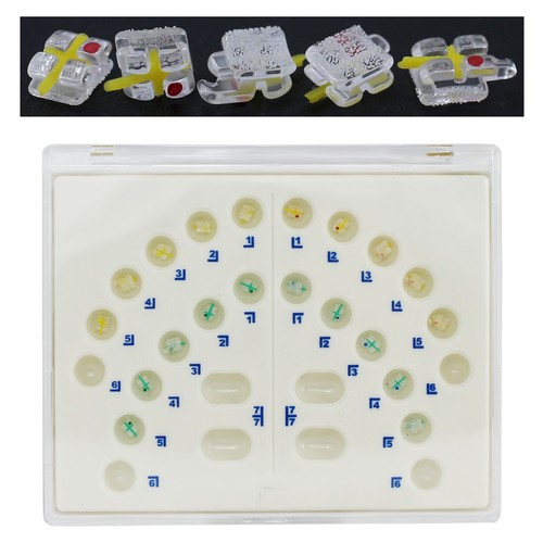 Dental Kieferorthopädische Saphir Brackets Roth MBT 022 345 Haken Monokristalline Brace - Bild 6 von 69