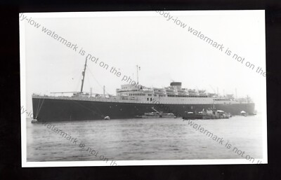 LP1442 - White Star Line Liner - Georgic - gebaut 1931 - Foto 5,5''x3,5''
