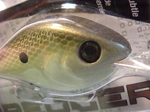 3 NUEVOS Draga Berkley 8.5 Crankbaits de tiro lento IRSH GOLD SHAD - Imagen 5 de 7