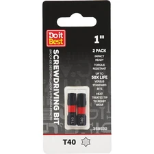 Do it Best 1 In. T40 Torx  Ready Screwdriver Bit (2-Pack) QJDIB-SC-036 SIM