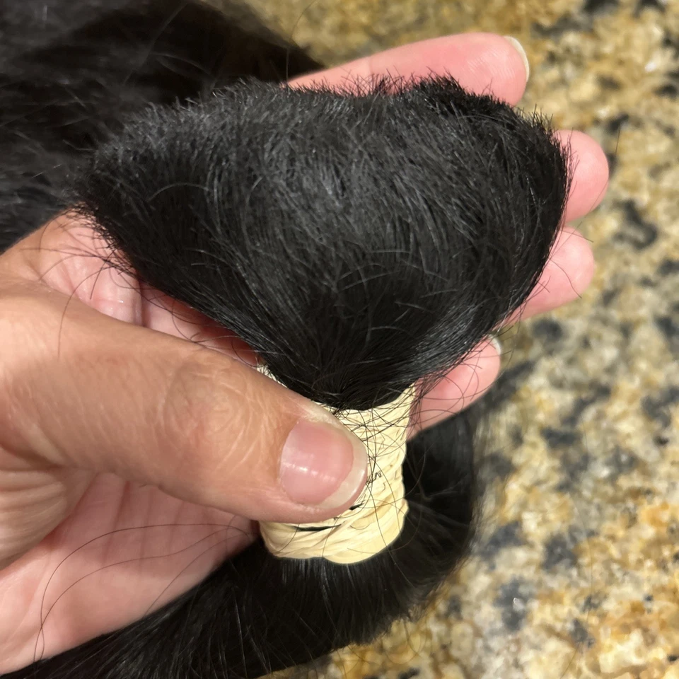 Хвост из человеческих волос 18 дюймов 203 г ТОЛСТЫЙ - Изображение 3 из 4