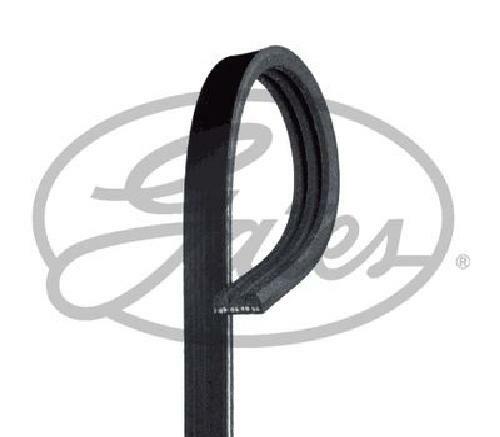 Original Gates V-Ribbed Belt 3PK856SF for Fiat Opel