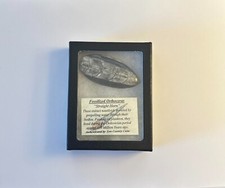 Fossilized Orthoceras 2.5" (Polished)