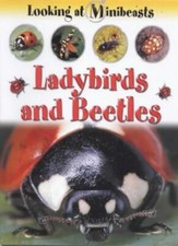 Ladybirds and Beetles (Looking at Minibeasts) By Sally Morgan. 9781841383903