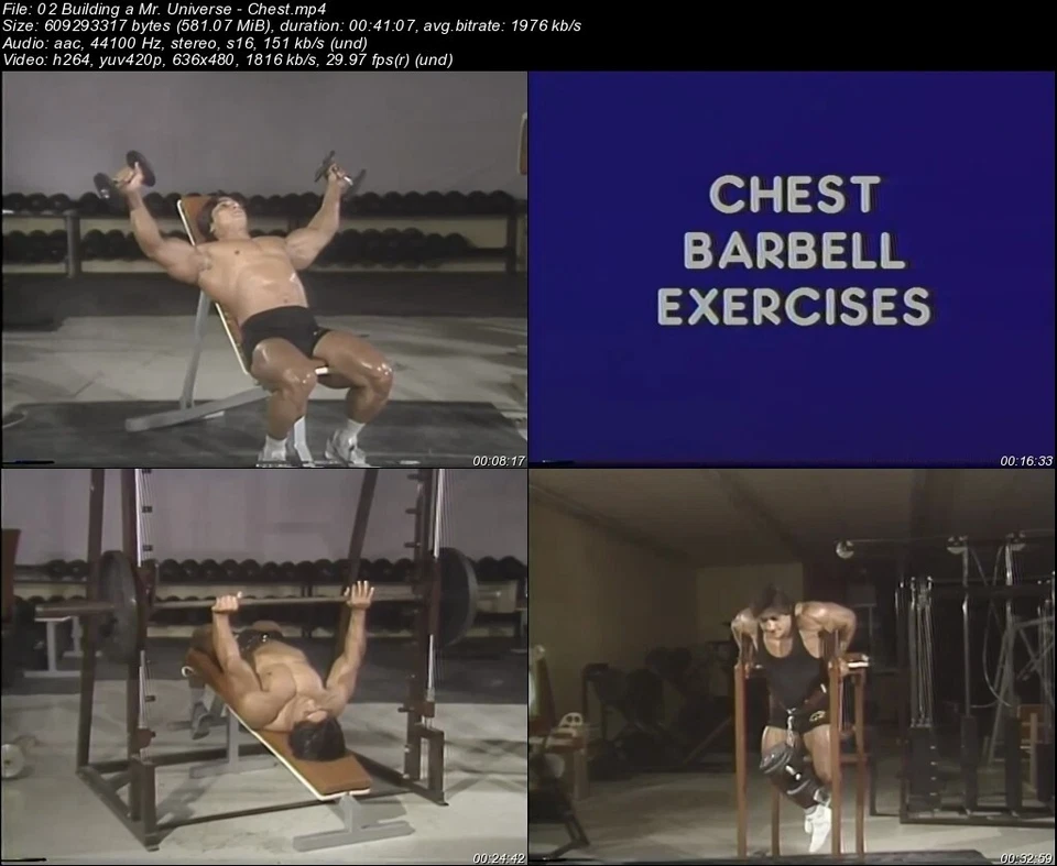 Secrets of Successful Bodybuilding starring Danny Padilla (13 DVD Set) - Image 3 of 4