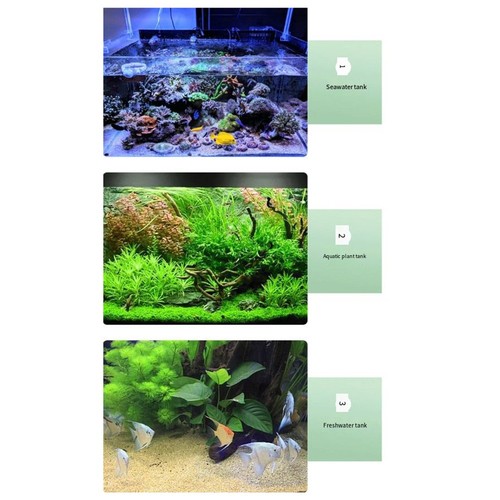 Termometro digitale per acquario pesci stickon con touch screen per tartaruga rettile - Foto 11 di 12