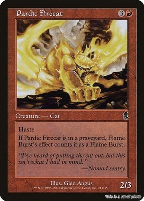 Magic the Gathering | Pardic Firecat [ODY - 211]LP