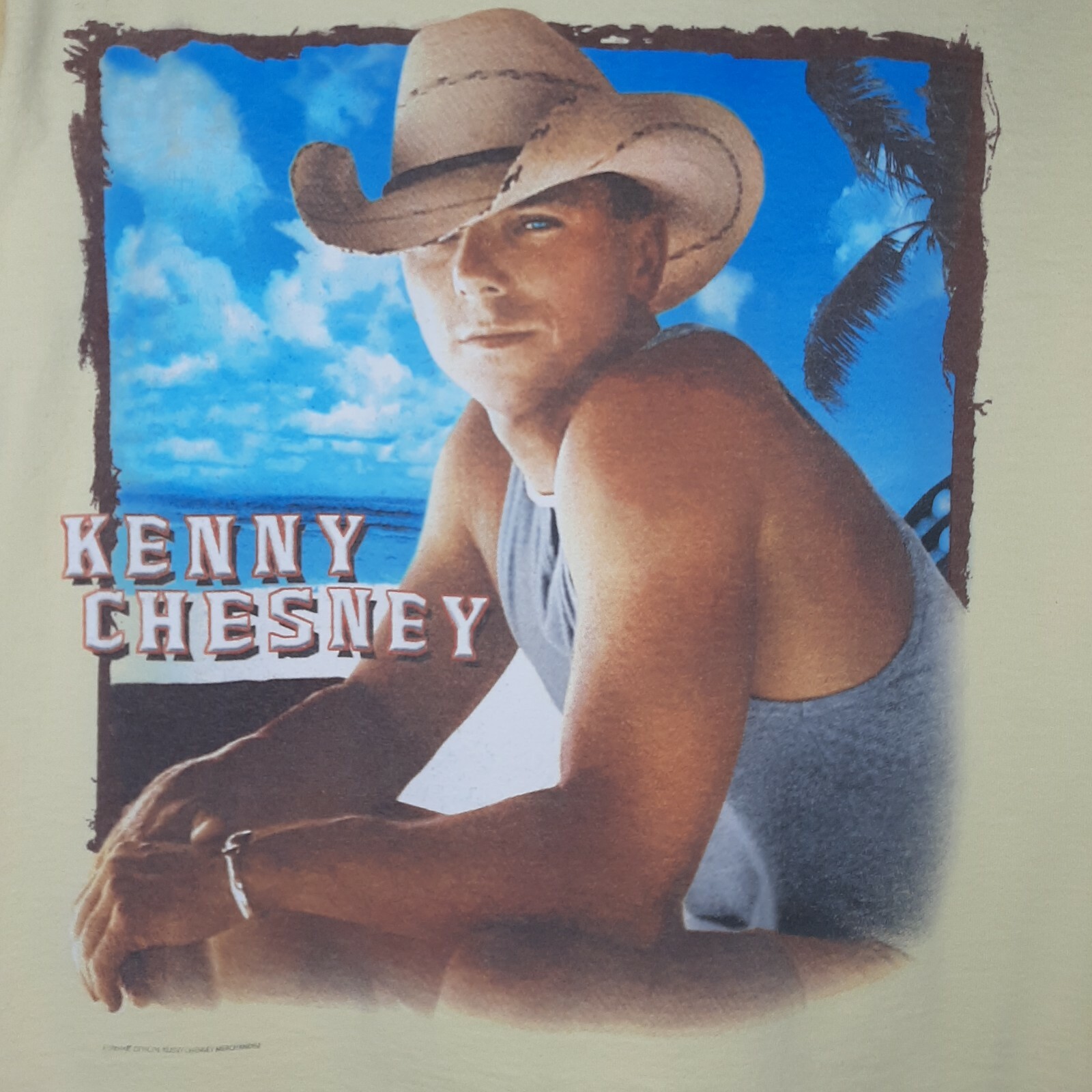 Kenny Chesney's Hidden Gem: The Ins and Outs of His Stunning Virgin Islands Home