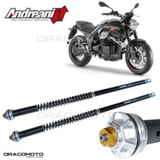 MOTO GUZZI Griso 1200 2007-2013 Patrone ANDREANI 105/G14E MISANO EVO