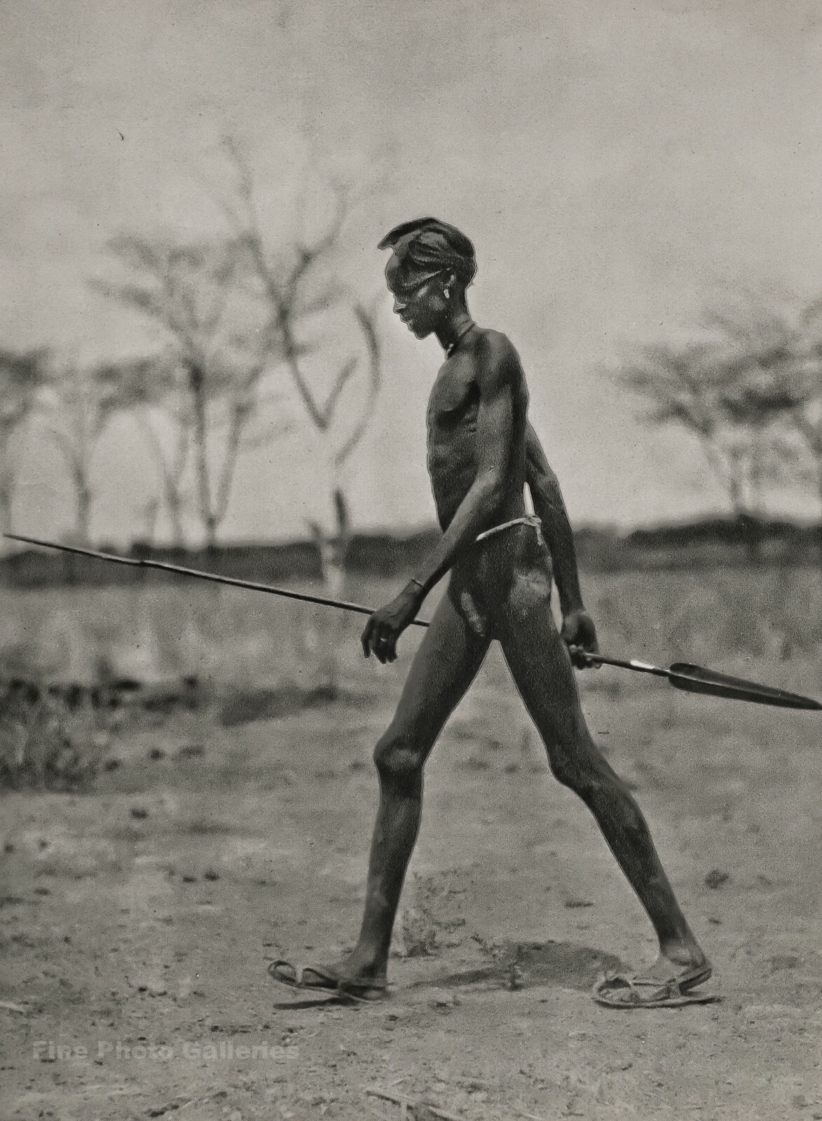 1920s Original AFRICA Black Male Nude Dinka Warrior w Spear BERNATZIK Photo Art eBay