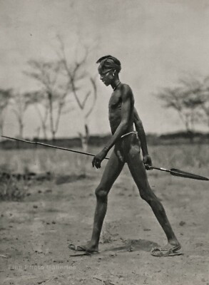 1920s Original AFRICA Black Male Nude Dinka Warrior w Spear BERNATZIK
