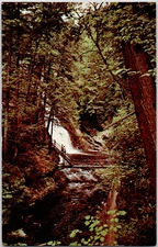 Vintage Postcard Bushkill Falls Pennsylvania Crest Niagara Pocono Mountains
