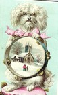 Foto 1 di 4