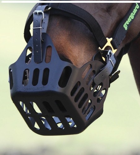 Pack de 2 sangles de rechange GREENGUARD GRAZING MUZZLE - Photo 2/3