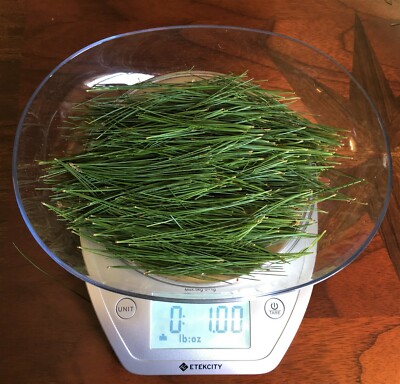 Eastern White Pine Needle Tea, Fresh Blue Ridge Mt. 2 oz