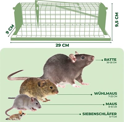 2 Stück XXL Lebendfallen Für Ratten & Mäuse – Tierfreundlich, Aus Metall, Wiederverwendbar Für Innen & Außen