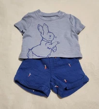 NWT Baby Gap Boys Peter Rabbit Tee Shorts Outfit 2PC Set