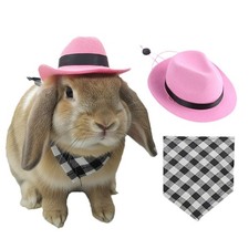 Cowboy Hat and Bandana Scarf Set for Small Pets Pink  Black-White