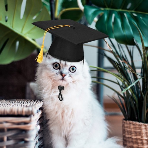 POPETPOP Sombrero para Mascotas Personalizado Perro Graduación Animal Gato Juguete Mascota - Imagen 10 de 10
