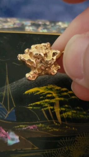 Colgante pepita de oro amarillo de 14k estampado y probado 7,35 gramos precio de chatarra $464,06 - Imagen 8 de 17