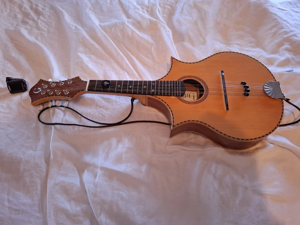 Superb, Custom, Unique Model G (Gibson?) Vintage Mandolin + Case, Unknown Year - Image 2 of 4