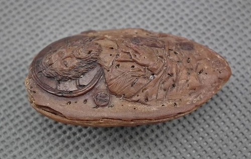 Antique Byzantine 13-15th Centuries Jesus Christ Pantocrator Carved Peach Stone - Picture 2 of 4