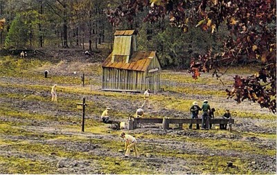 Crater of Diamonds State Park Arkansas Postcard - Diamond Mine Hunt