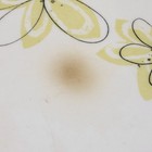 Bild 8 von 11