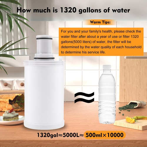 Repuesto Filtro Agua 100186 Compatible con Purificador Agua Amway eSpring,... - Imagen 7 de 9