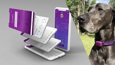 PetPace Dog Health Monitoring Smart Collar P1001-1-LV Size Large Violet SEALED