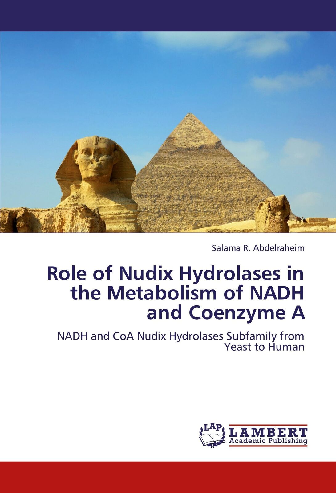 Thumbnail - Role Of Nudix Hydrolases In The Metabolism Of Nadh And Coenzyme A