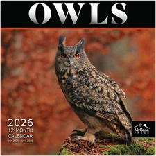 Owls 2026 Wall Calendar 12 Month | 12" x 24" Open | Thick & Sturdy Paper | Gi...