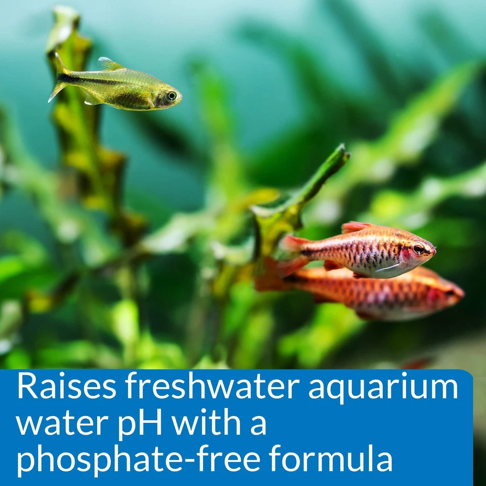 Api Ph Up Freshwater Aquarium Water Ph Raising Solution 1.25 Oz Safe For Fish - Image 3 of 4