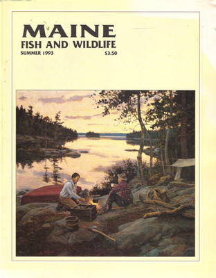 Maine Fish And Wildlife Magazine Summer 1993 American Marten Rabies Brownfield
