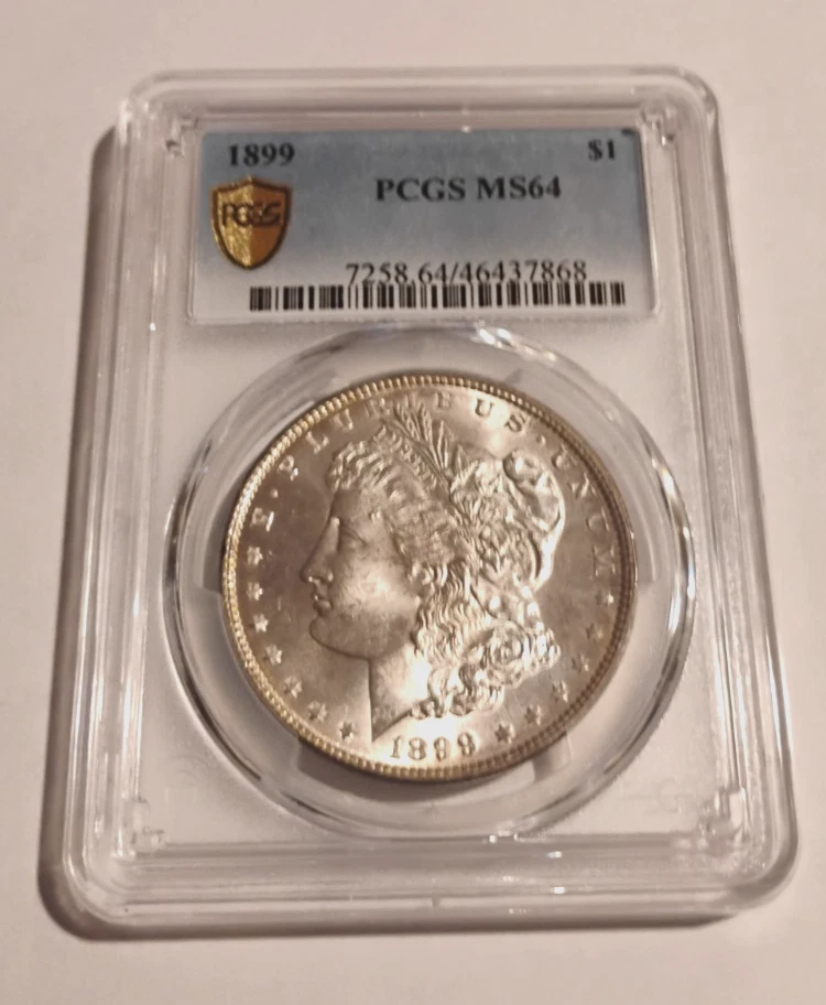 MS 64 Graded 1899 Year Morgan US Dollars (1878-1921) for sale | eBay