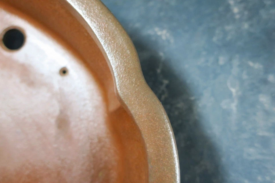 Vaso per bonsai giapponese originale "Nakano Yuji" di Tokoname. - Immagine 4 di 4