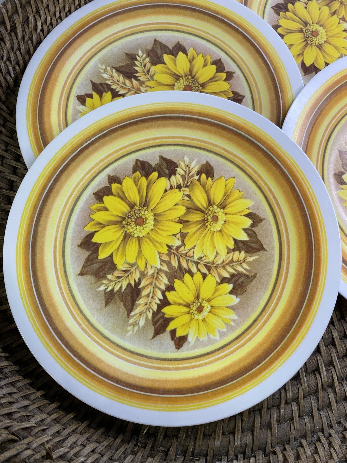 Plates Set Of 4 VTGCamping RV Picnic 10" National Home Products NHP Artisan Ware