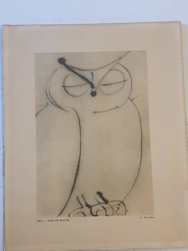 Stampa disegno a inchiostro gufo indiano anni '50 D. Nowicka senza cornice Varsavia Polonia semplice retrò - Foto 2 di 14